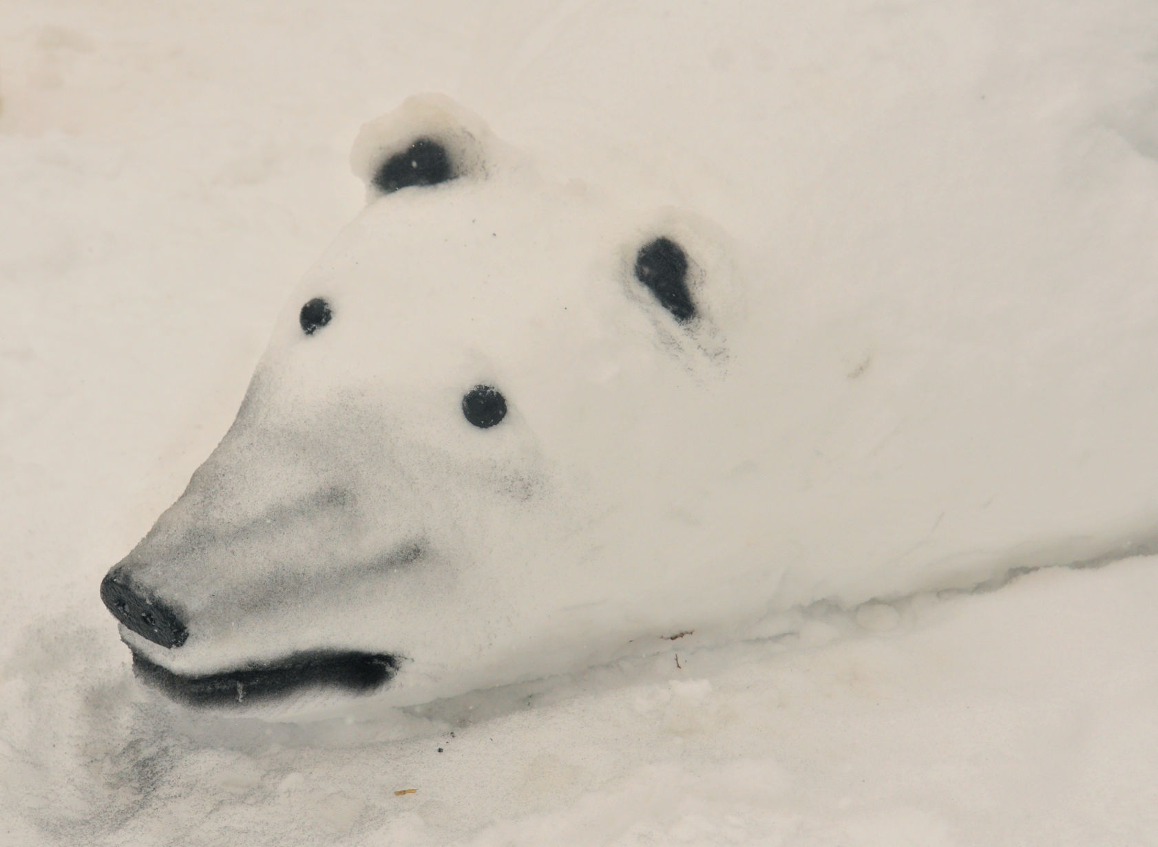 Polar bear snow sculpture